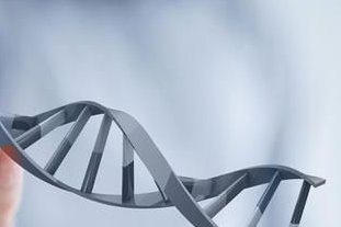 试管移植胚胎等级怎么看