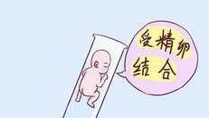 2026在甘肃省罗氏易位能做三代试管婴儿生子吗，相互易位和罗氏易位有什么区别？