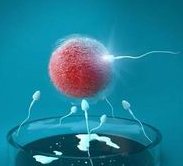 生双胞胎有什么技巧？备孕生双胞胎的办法有吗？