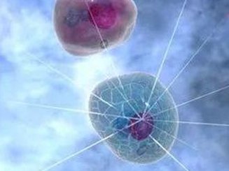 备孕怎样有效提高怀孕几率？