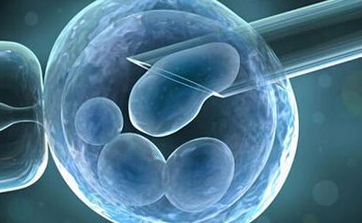 吕梁三代试管费用标准怎么算？不同医院也是有差距的！