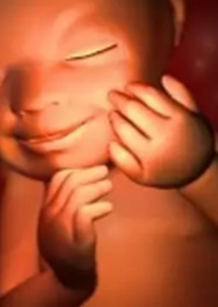 昆明试管婴儿助孕费用多少？附昆明安琪儿试管价目表！