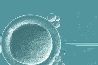 做试管试管婴儿中途离婚后医院会怎么处理冷冻胚胎？